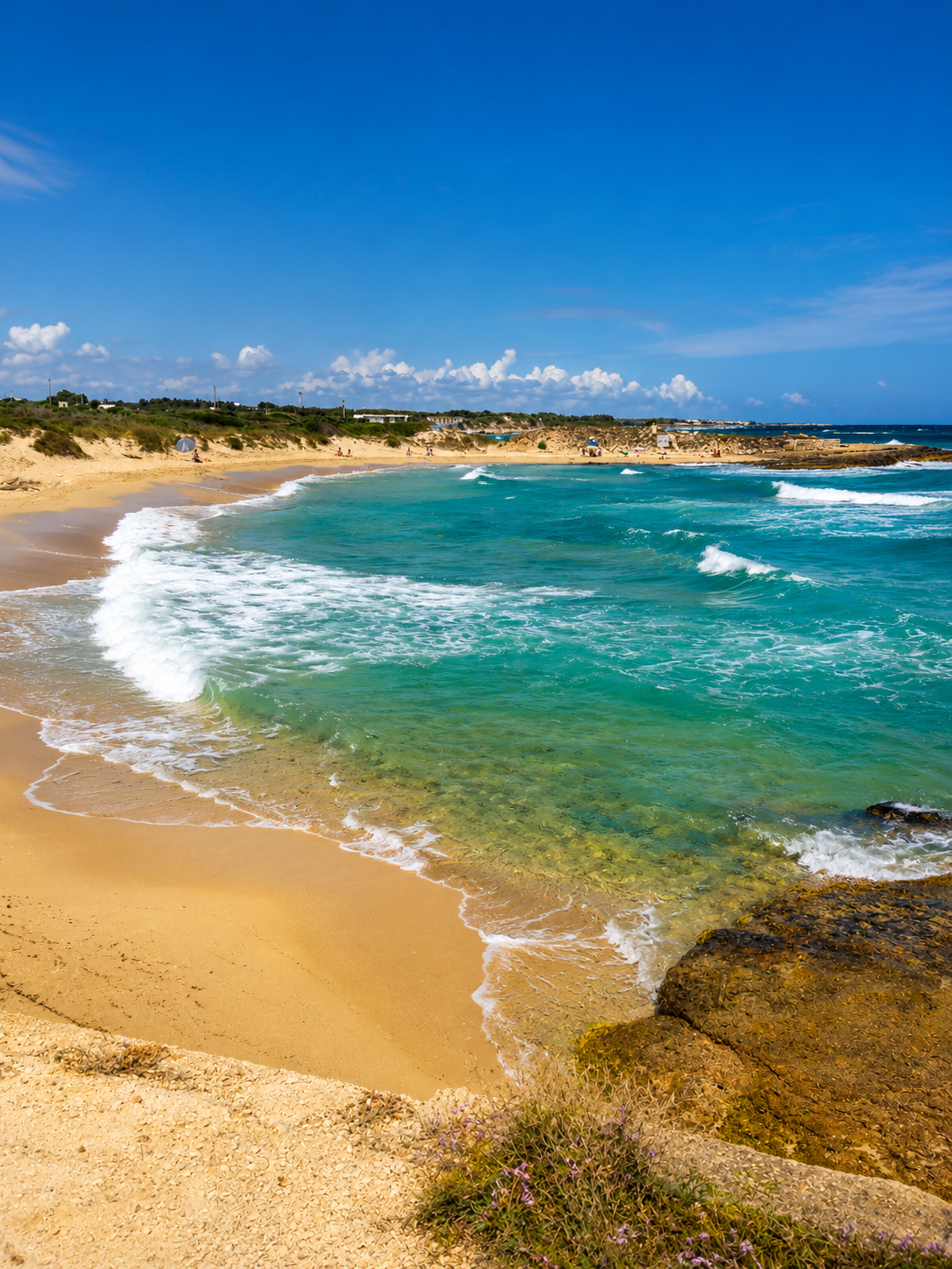 Strand en duingebied van Torre Guaceto