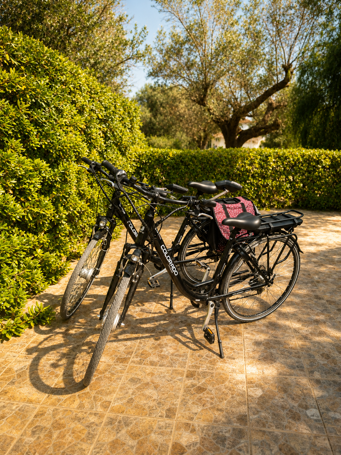 Elektrische fietsen bij Dimora Morrella